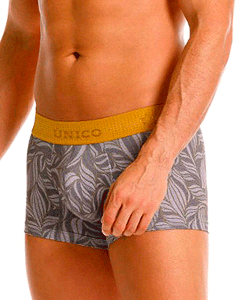 Unico 25070100104 Caudal Trunks 59-gray