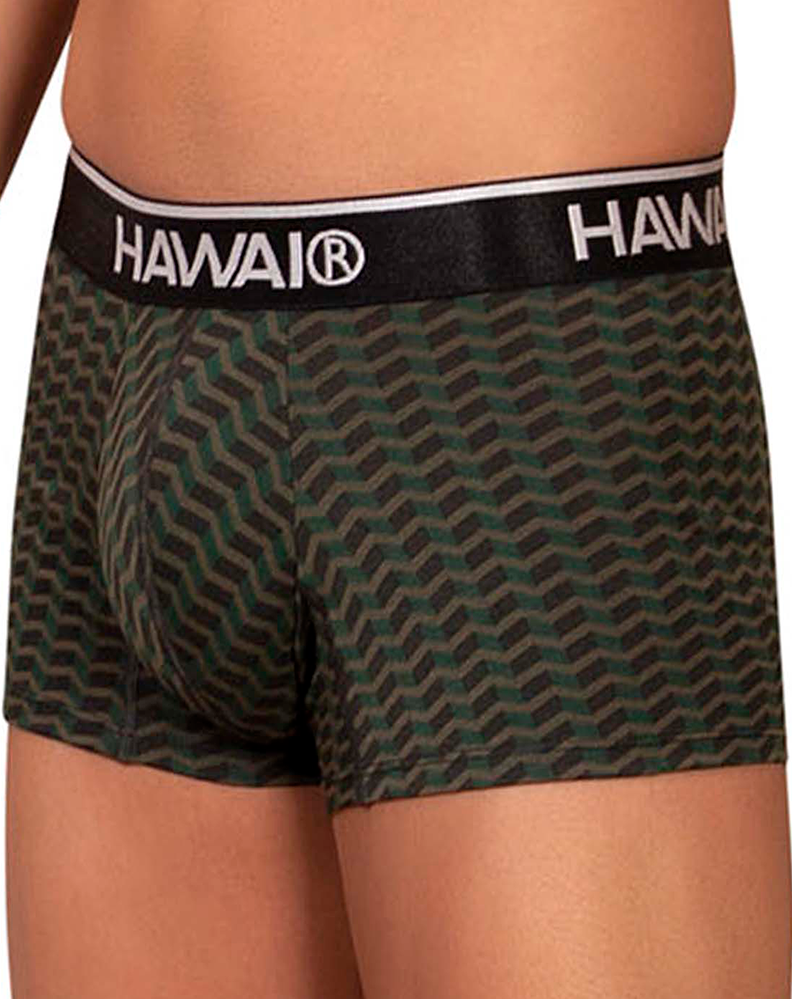 Hawai 42371 Printed Trunks Green