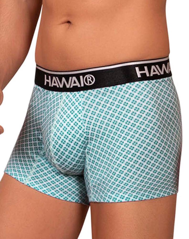 Boxer imprimé Hawai 42421 Vert