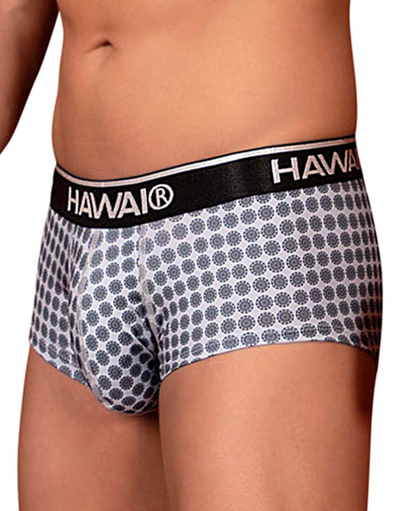 Slip imprimé Hawai 42430 Gris