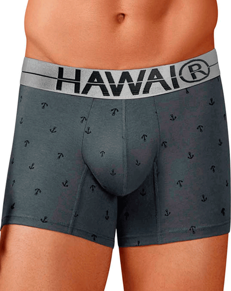 Hawair 42521 Cotton Blend Trunks Gray