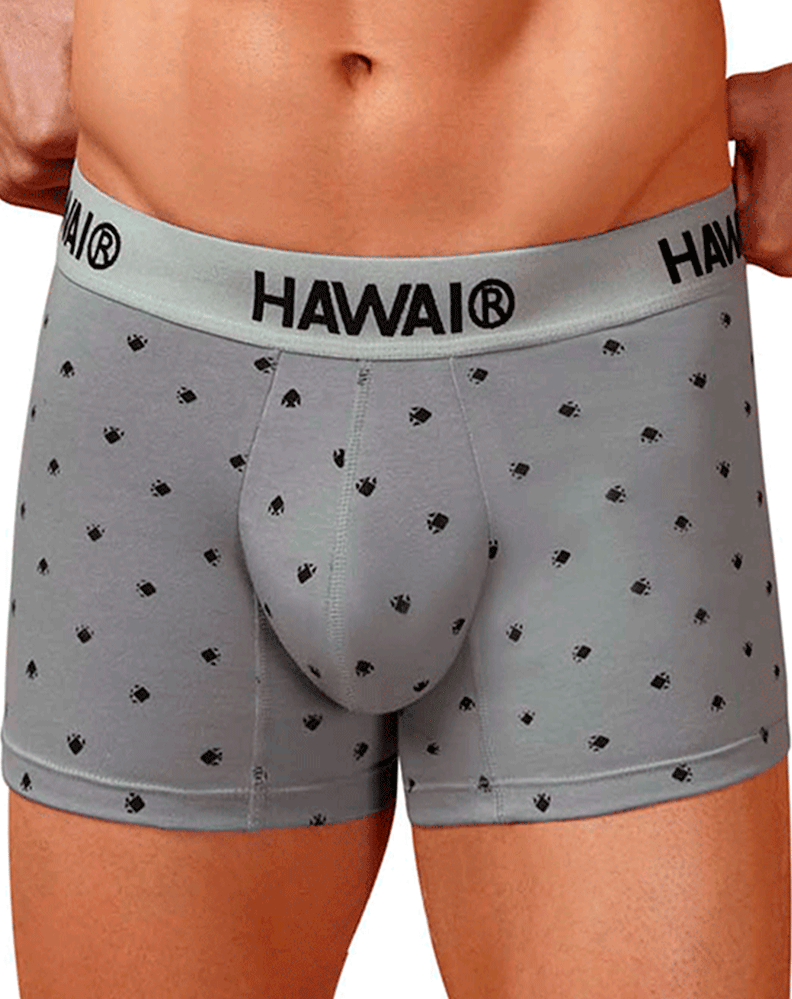 Hawair 42571 Cotton Blend Trunks Gray