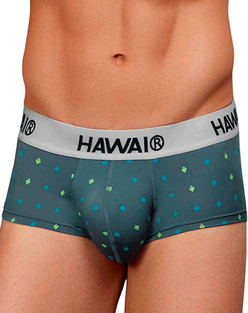 Hawair 42580 Microfiber Briefs Gray