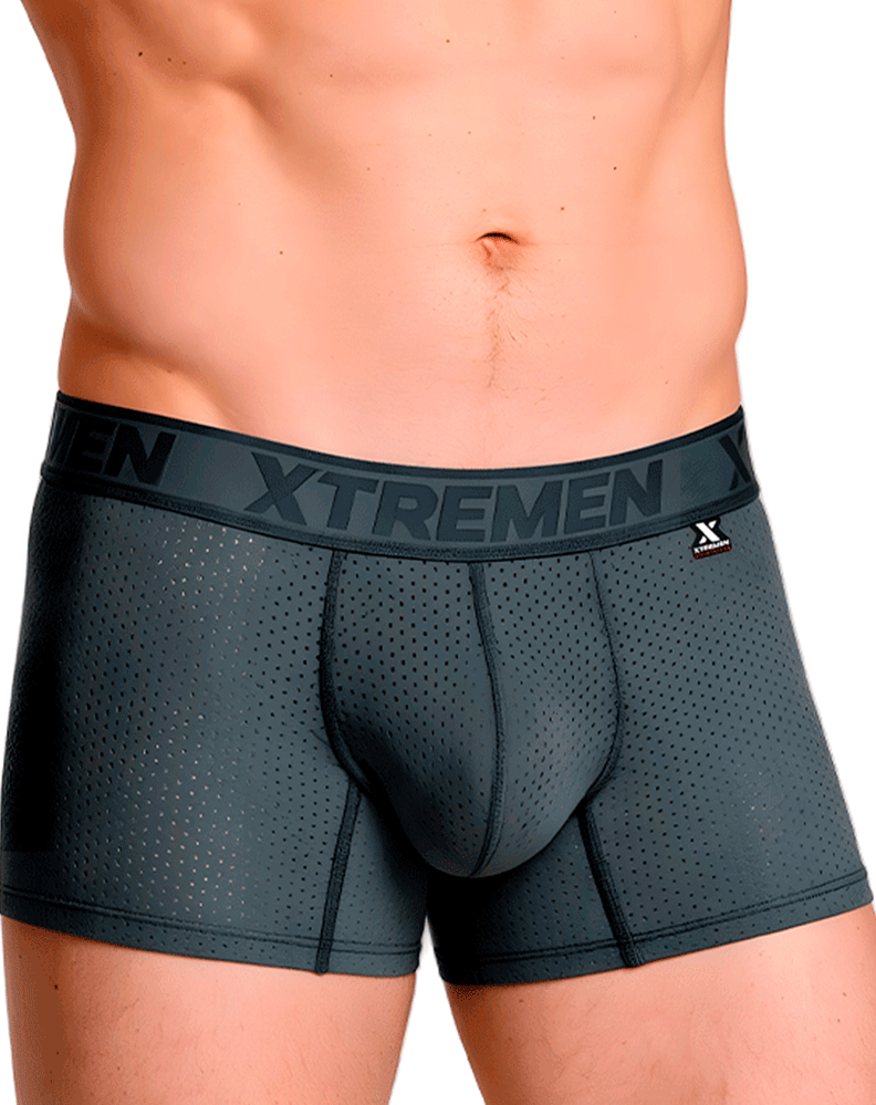 Xtremen 91251 Xtremen Micro-perforated Boxer Briefs Gray