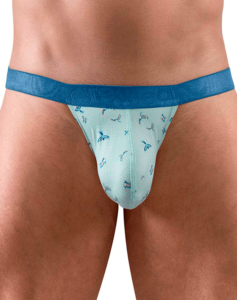 Ergowear Ew1776 Slk Se G-string Frost-birds