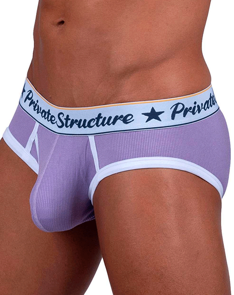 Private Structure Scus4529 Classic Mid Waist Mini Briefs Purple