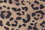 Toffee Leopard Print