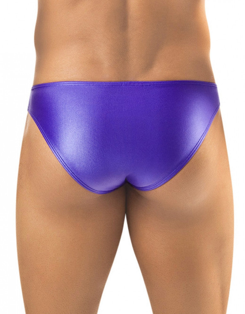 Purple Back Joe Snyder Bikini