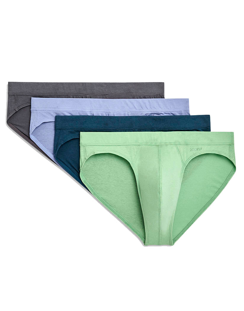 Stingray/Purple Impression/Absinthegreen/Submerged Flat 2xist Cotton 4-Pack Bikini 31020432