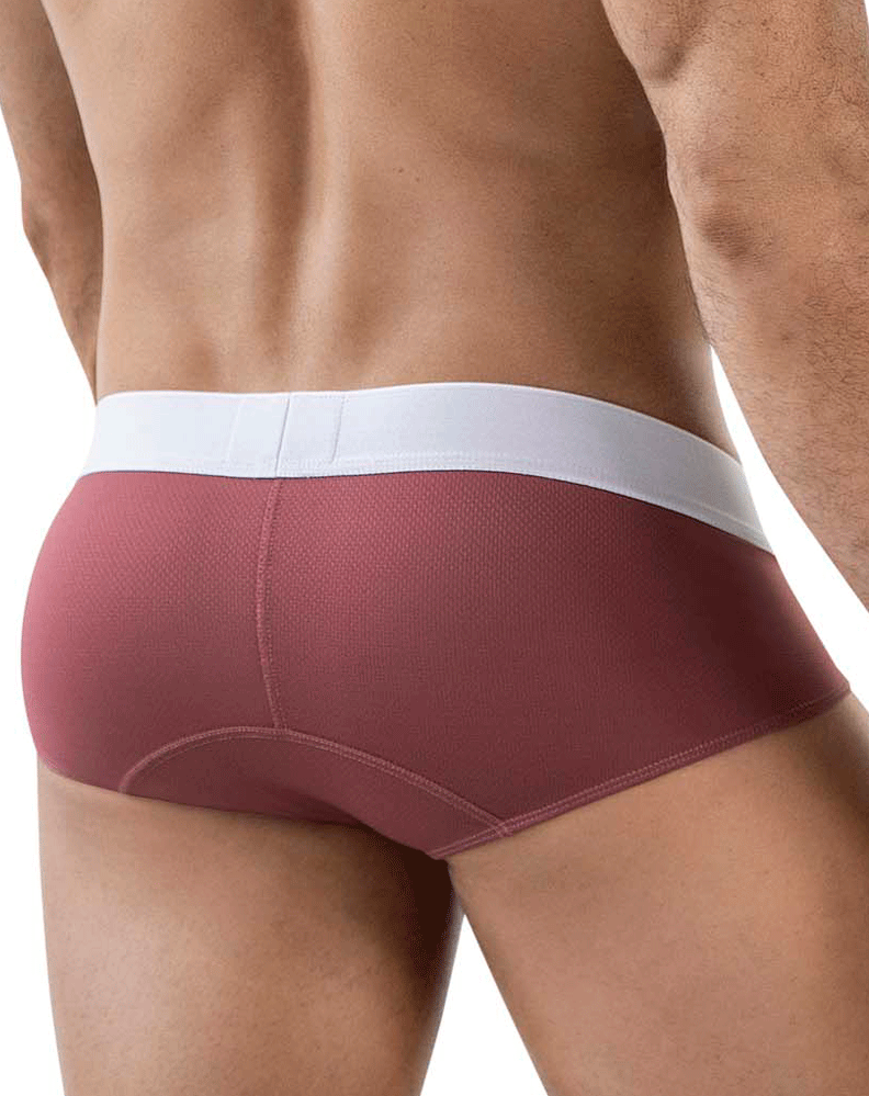 Clever 1863 Lecler Briefs Grape