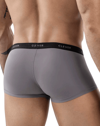 Clever 1866 Tokio Trunks Gray