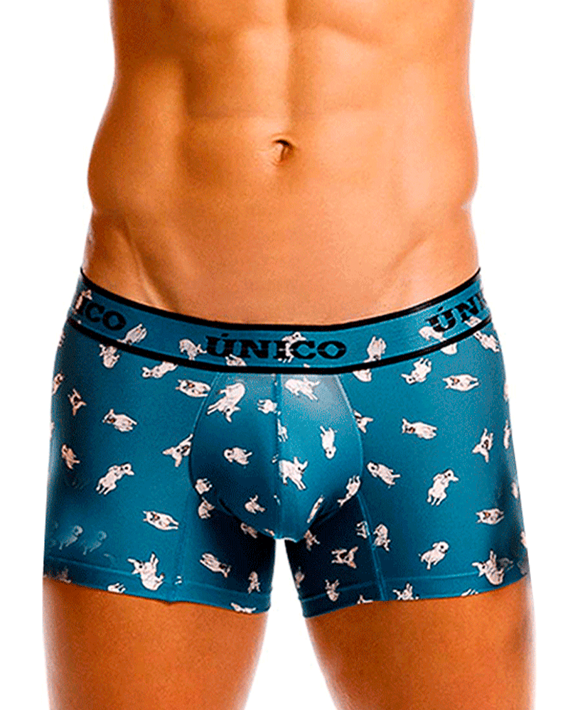Unico 25060100104 Chihuahua Trunks 43-blue