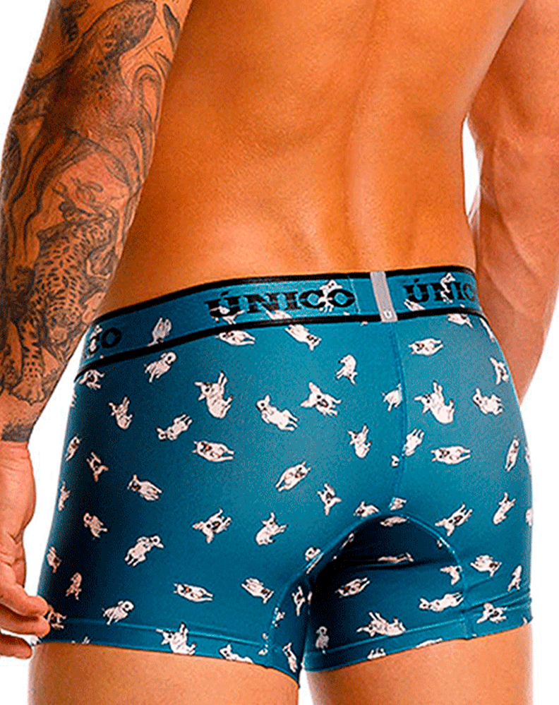 Unico 25060100104 Chihuahua Trunks 43-blue