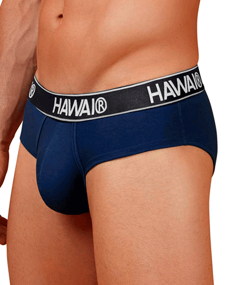 Hawair 41962 Cotton Blend Briefs Dark Blue-01