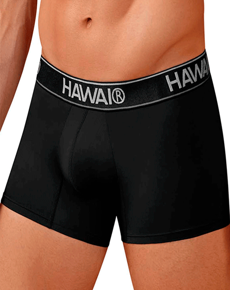 Hawair 41977 Microfiber Trunks Black-01