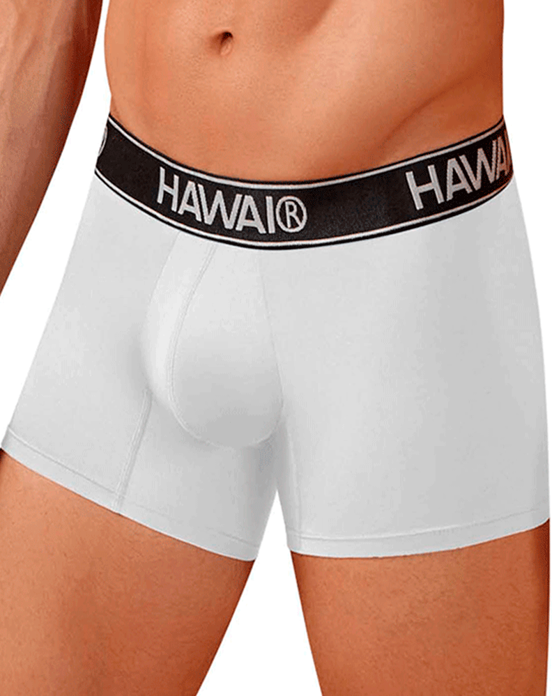 Hawair 41977 Microfiber Trunks White-01