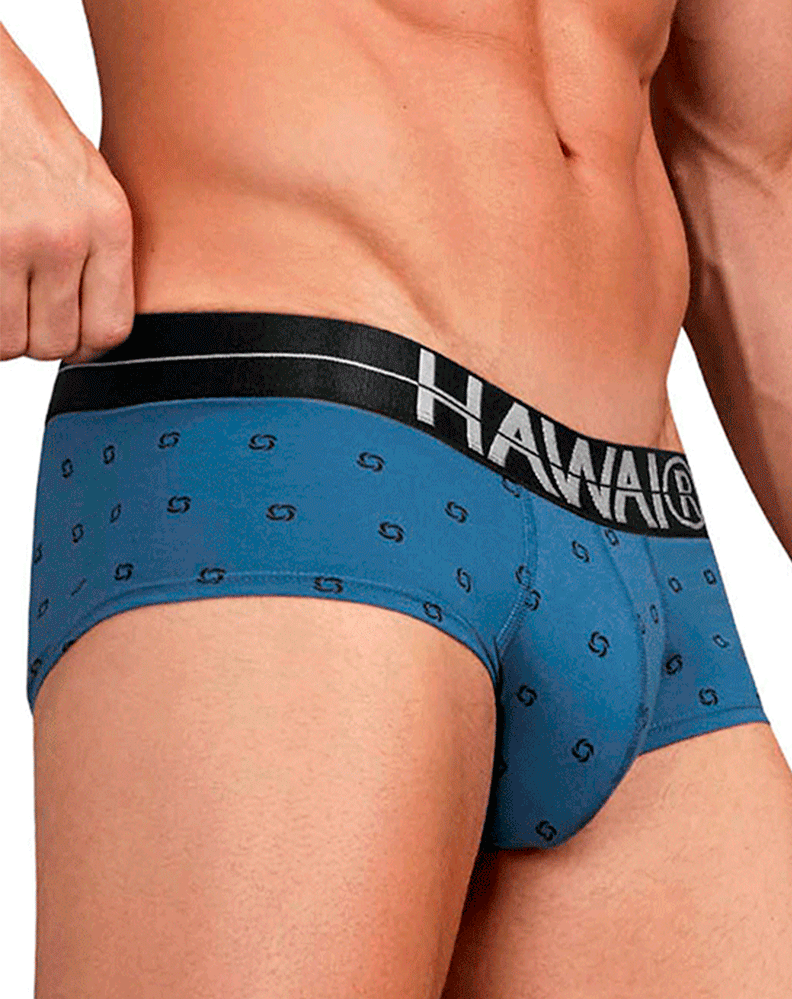 Hawair 42531 Cotton Blend Briefs Blue Quartz