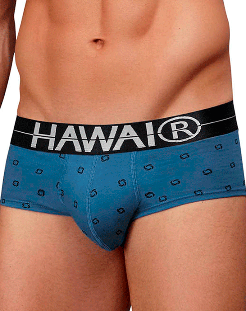 Hawair 42531 Cotton Blend Briefs Blue Quartz