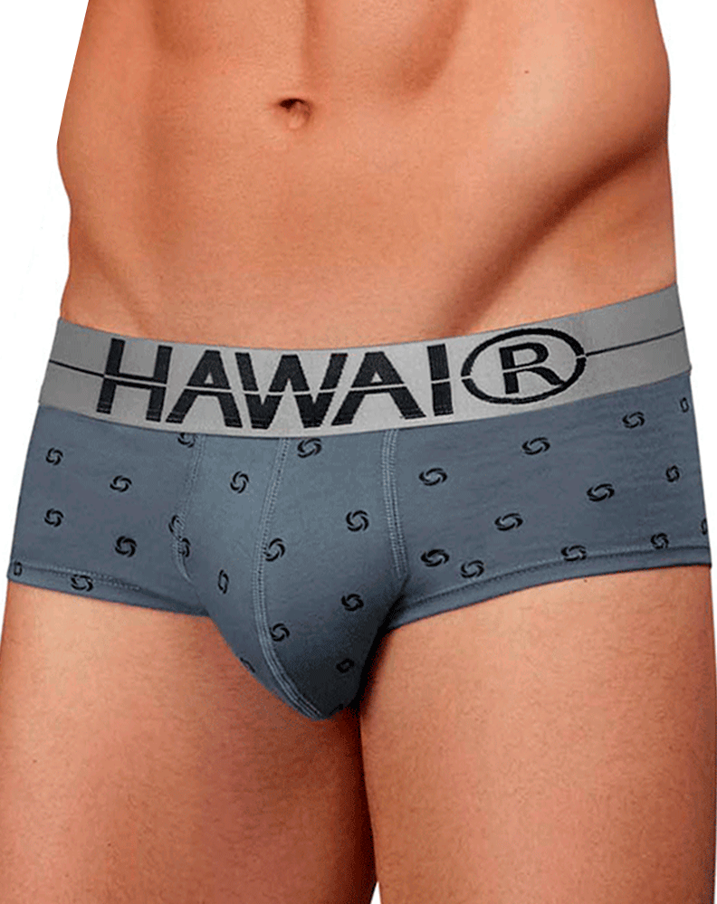 Hawair 42531 Cotton Blend Briefs Gray