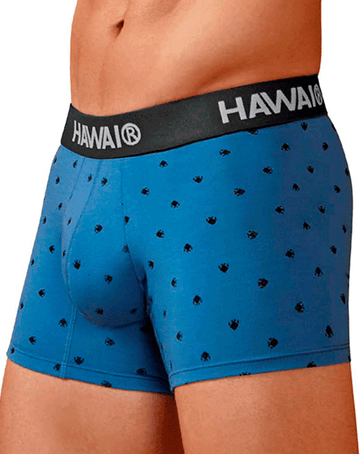 HAWAIR 42571 Cotton blend Trunks Color Blue Quartz