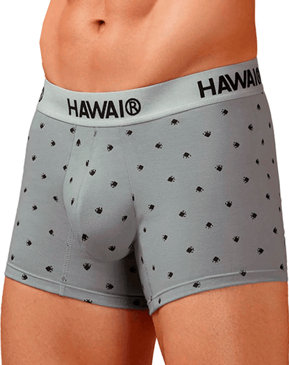Hawair 42571 Cotton Blend Trunks Gray