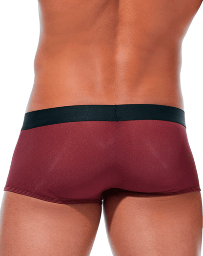 Gregg Homme Torridz Trunk 87465 Bordeaux