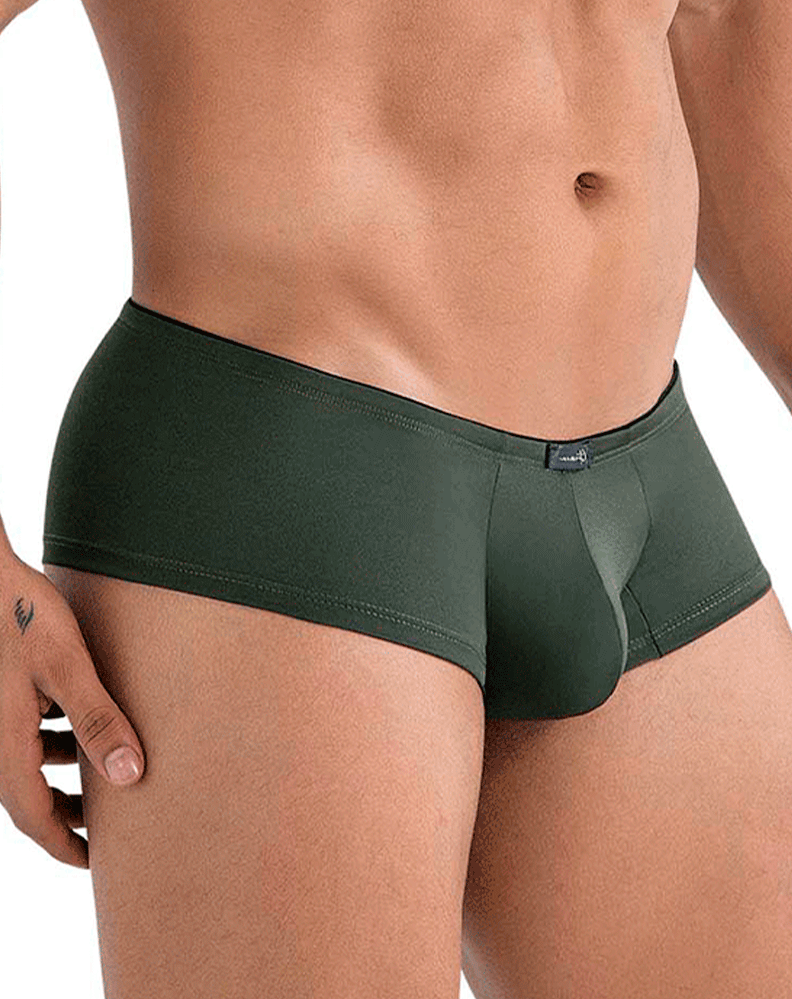 Xtremen 91240 Microfiber Trunks Green
