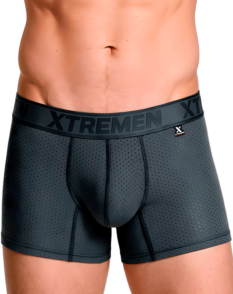Xtremen 91251 Xtremen Micro-perforated Boxer Briefs Gray