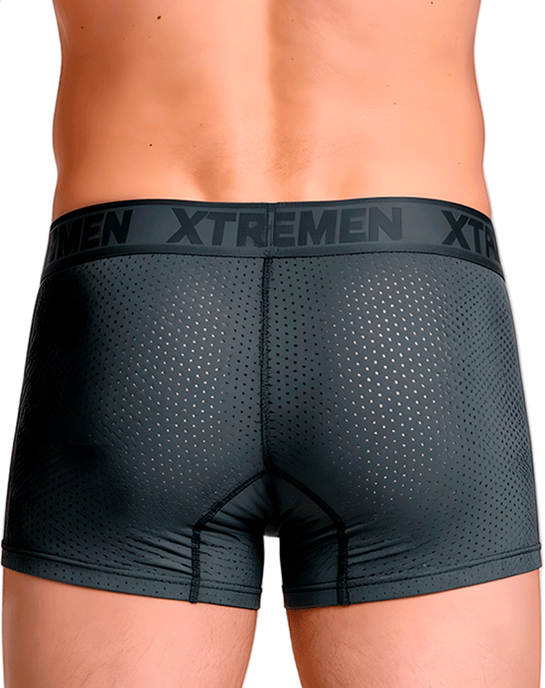 Xtremen 91251 Xtremen Micro-perforated Boxer Briefs Gray