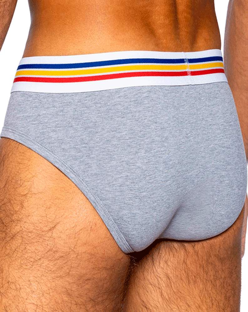 Bike Athletic Bas327 Stretch Cotton Brief Color Gray
