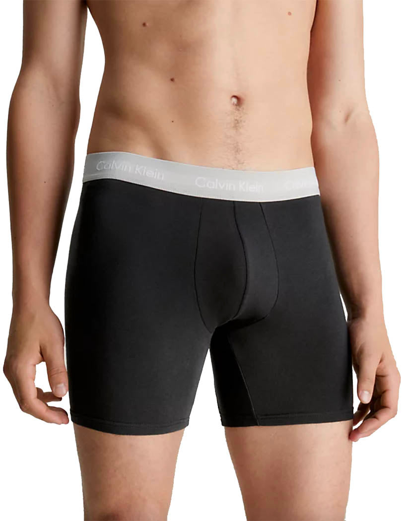 Black with Dragon Fly/Mudstone/Asphalt Grey waistband Front Calvin Klein Boxer Brief 3-Pack NB2616