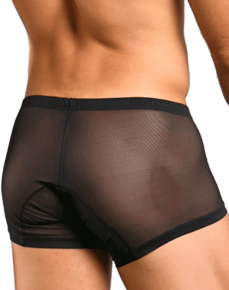 Malebasics Mbl78 Lace Trunks Black Mesh