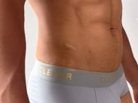 Clever 2028 Valladolid Briefs Gray