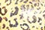 Metallic Leopard