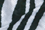 Zebra Print