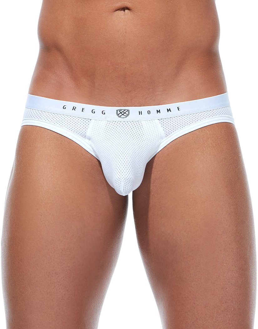 Gregg Homme Room-Max Air Brief 172603