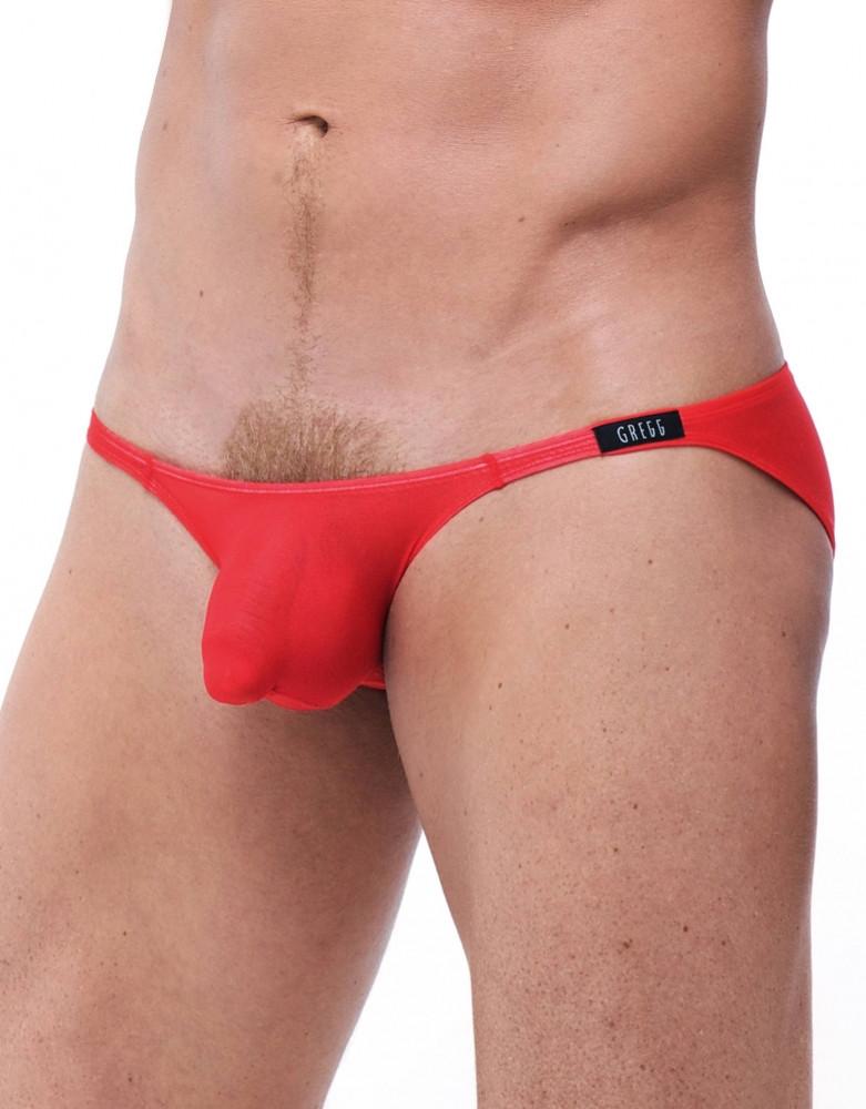 Red Side Gregg Homme Torrid Bikini
