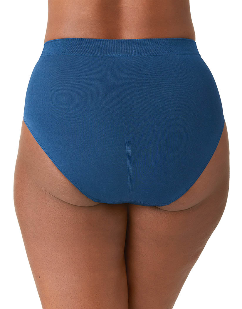 Buy WACOAL Blue Nylon Full Coverage Women's Panty