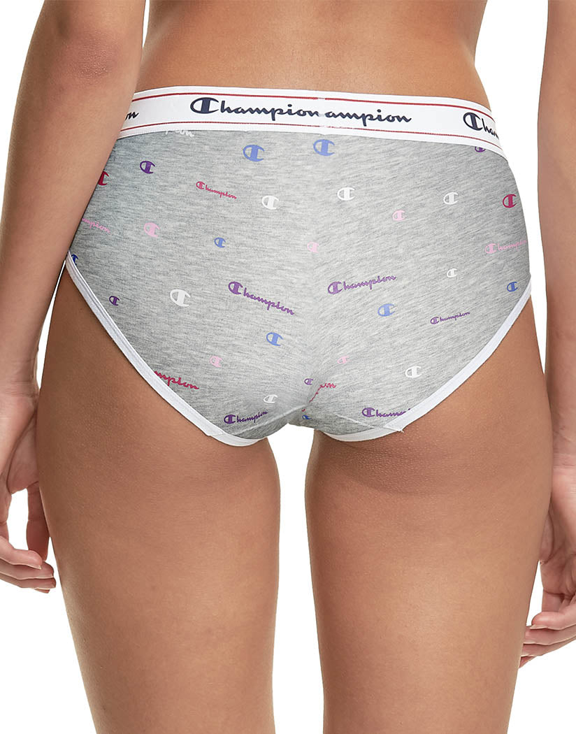 Champion 3 pack Size L Microfiber Hipster Knickers Briefs Women