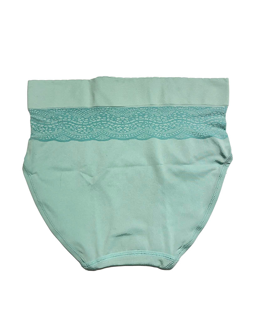 Icy Morn Back Warner's Cloud 9 Seamless Lace Brief RS3241P