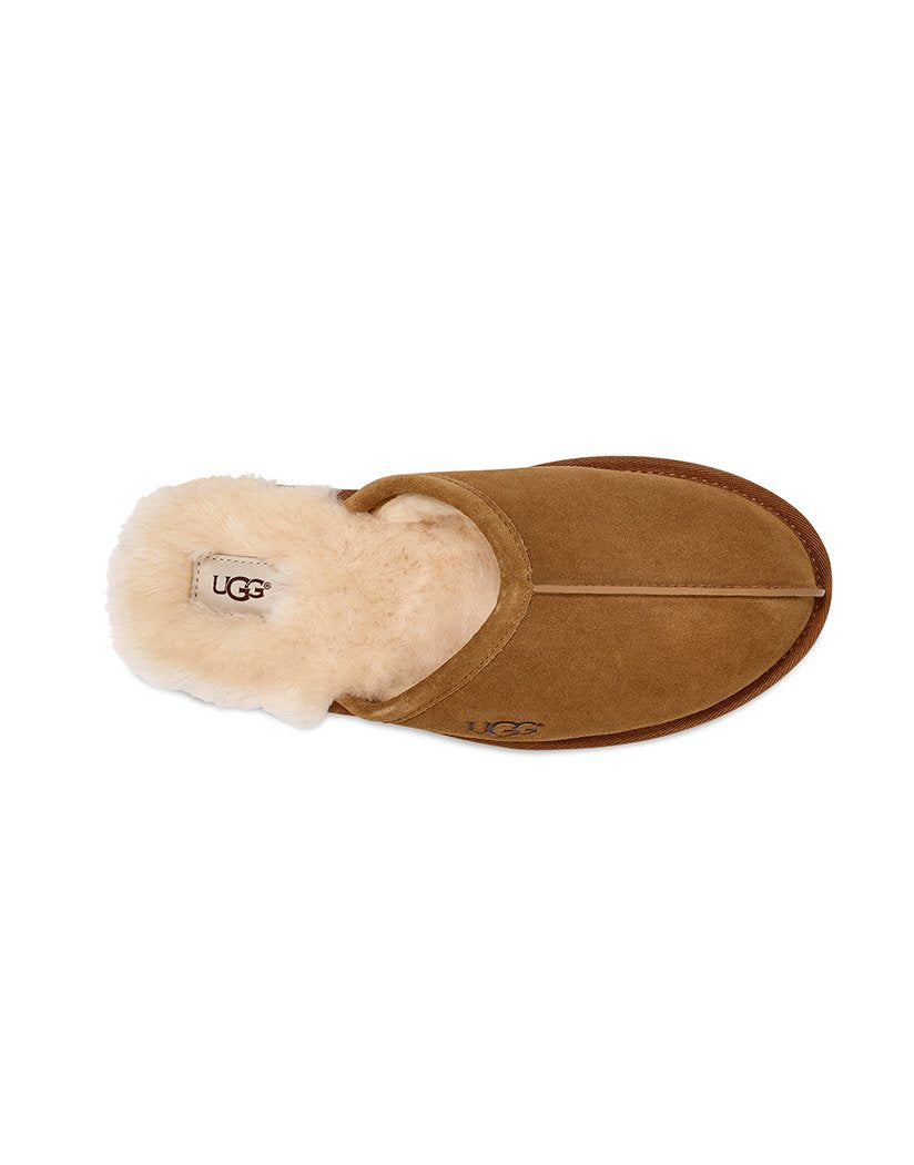 Chestnut Front UGG Scuff Chestnut Men