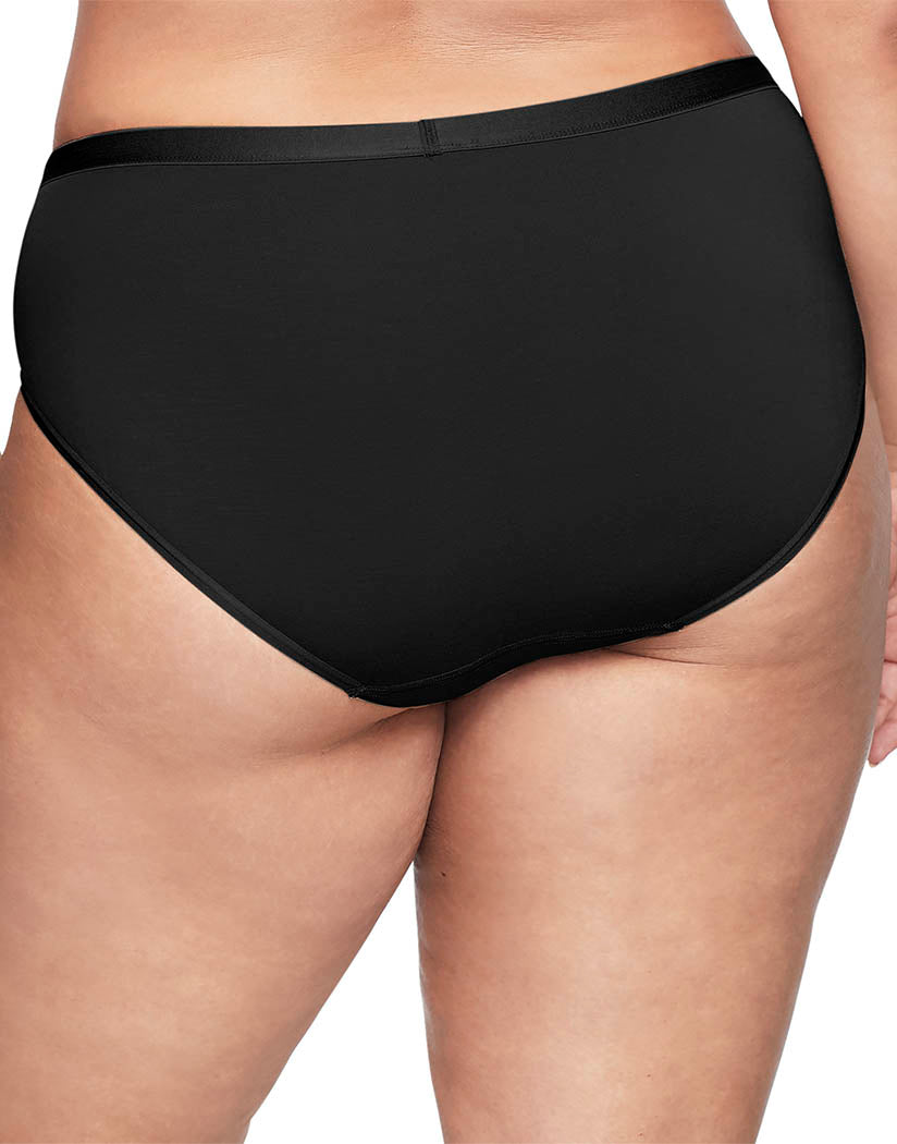 Black Back Warner